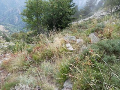 Croisement après Rabadana