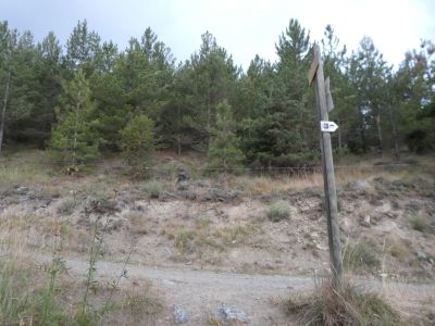 Croisement piste En 1