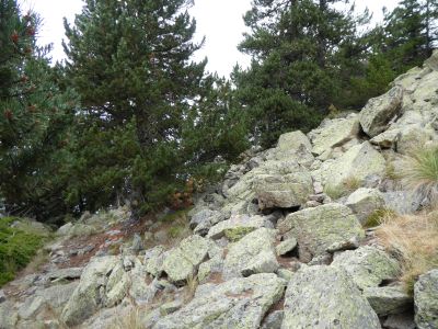 Croisement Trepassats