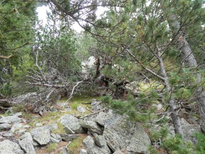 Vue montée sommet 2