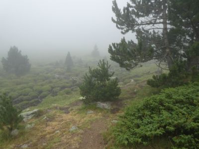 Estany Planès