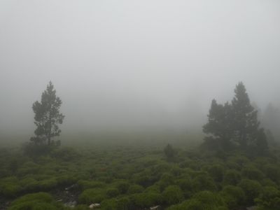 Vue Estany Planès