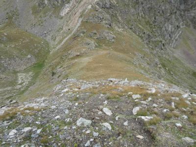 Croisement sentier Boc 2