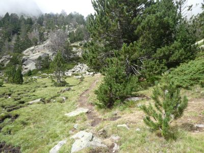 Estany Planès 2
