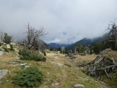 Vue Vall Planès 7