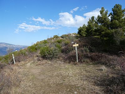 Croisement après Goà