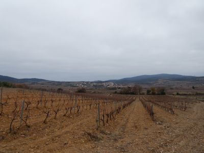 Vue Latour-de-France