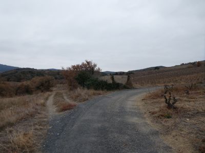 Croisement avant Taló