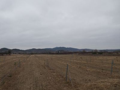 Vue Força Real