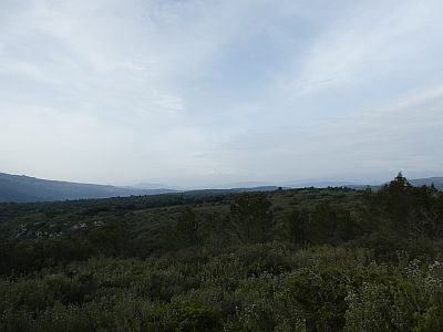 Vue Canigou