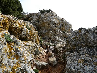 Vue Trauc Cavall