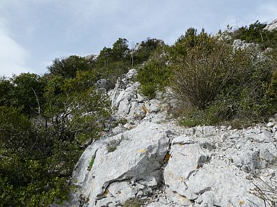 Vue sentier crête 3