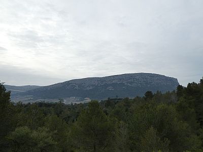 Vue Nereda