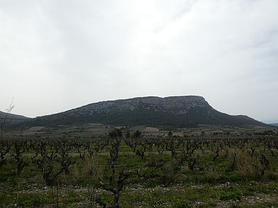 Vue Nereda 3