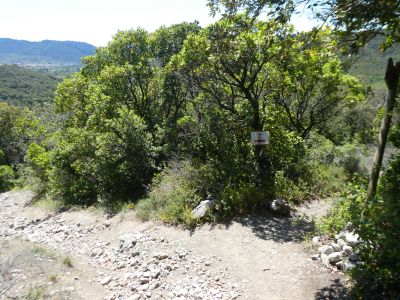 Croisement sentier Prugnanes