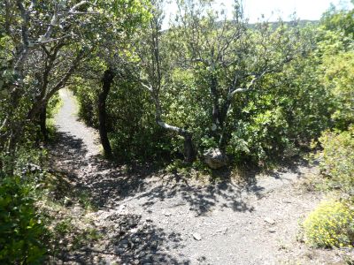 Croisement sentier Prugnanes 2