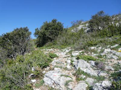 Croisement Sarraoute