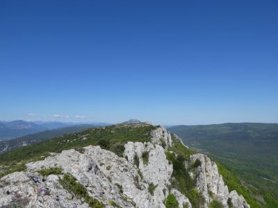 Vue Auroux