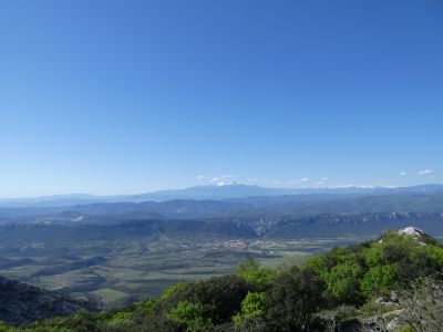 Vue Canigou