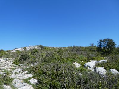 Vue montée Auroux