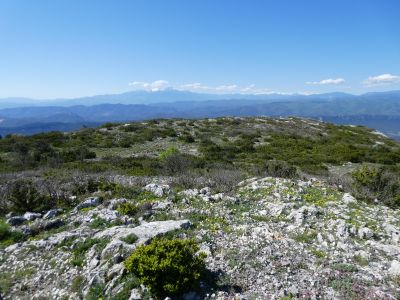 Descente Auroux