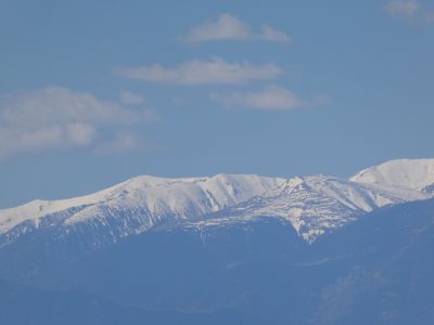 Vue Dona