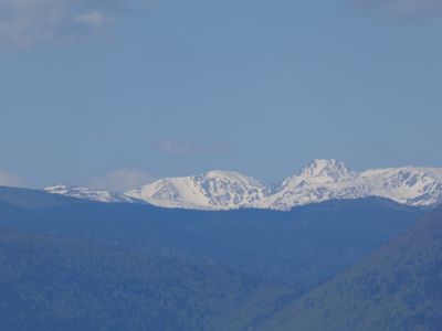 Vue Carnicera