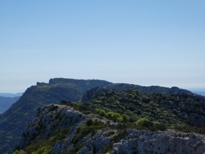 Vue Quille