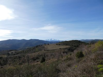 Vue Canigou