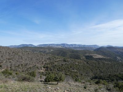 Vue Quille