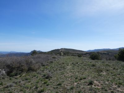 Vue sommet