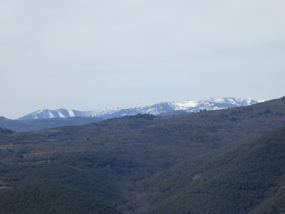 Vue Pelada