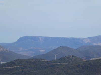 Vue Nereda