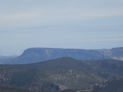 Vue Nereda