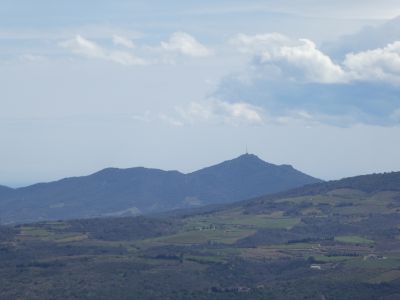 Vue Força Real