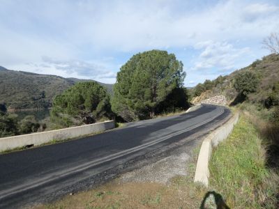 Croisement D21