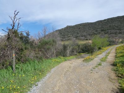 Croisement après Vignes