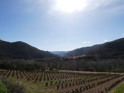 Vue Vallée Agly 2