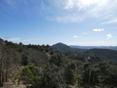Vue sommet 2
