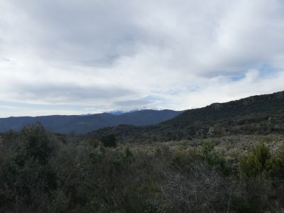 Vue Canigou