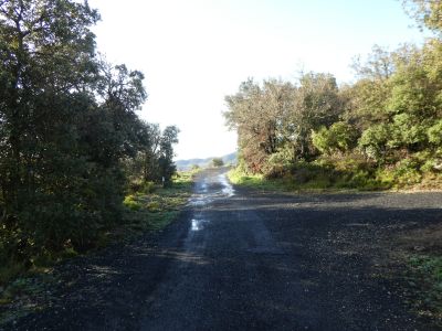 Croisement DFCI F121 2