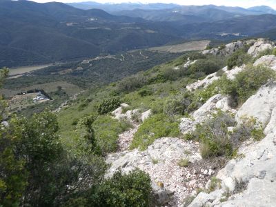 Descente