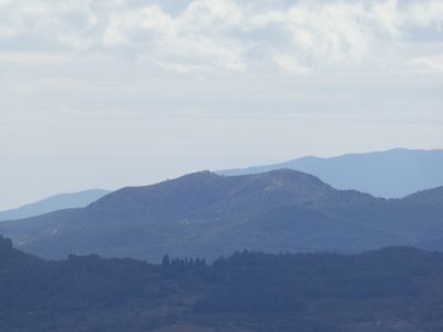 Vue Martí Roca