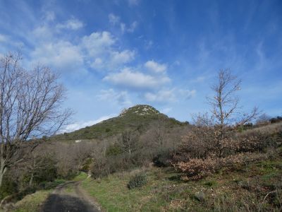 Vue sommet