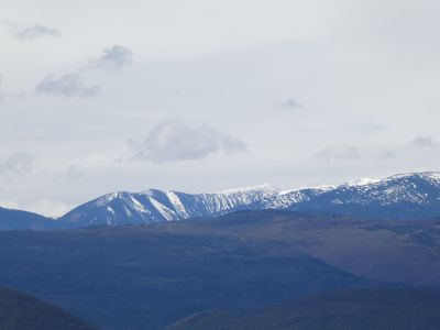 Vue Pelada