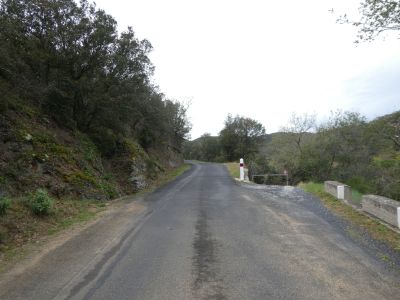 Croisement après D9b
