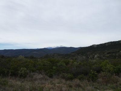 Vue Canigou