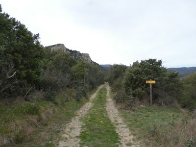 Croisement montée sommet 1