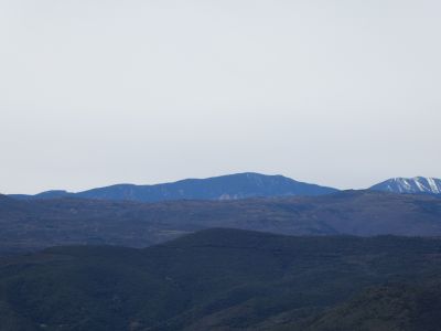 Vue Coronat