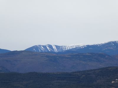 Vue Pelada